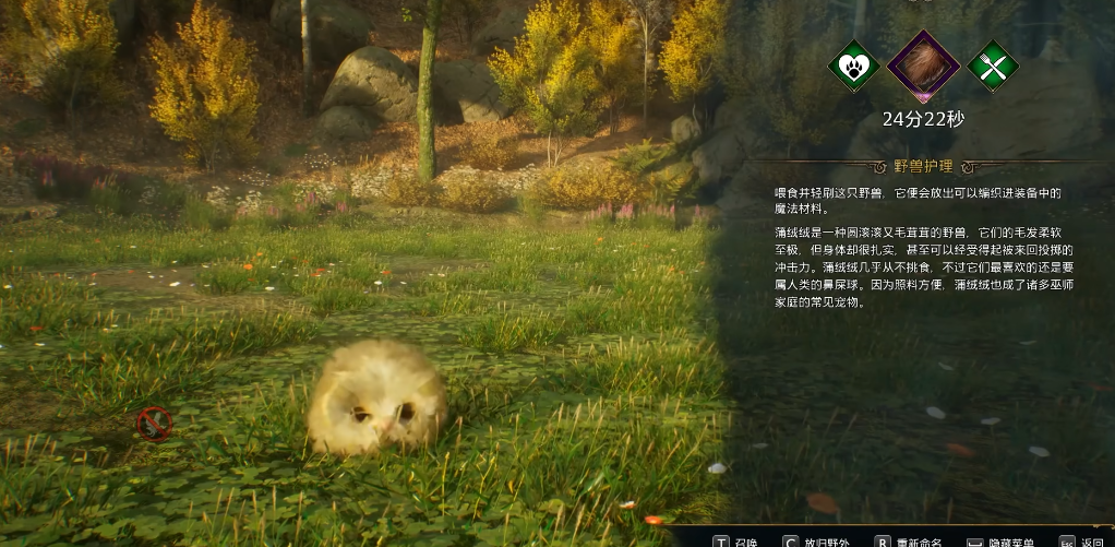 霍格沃茨之遗蒲绒绒在哪 霍格沃茨之遗蒲绒绒在哪