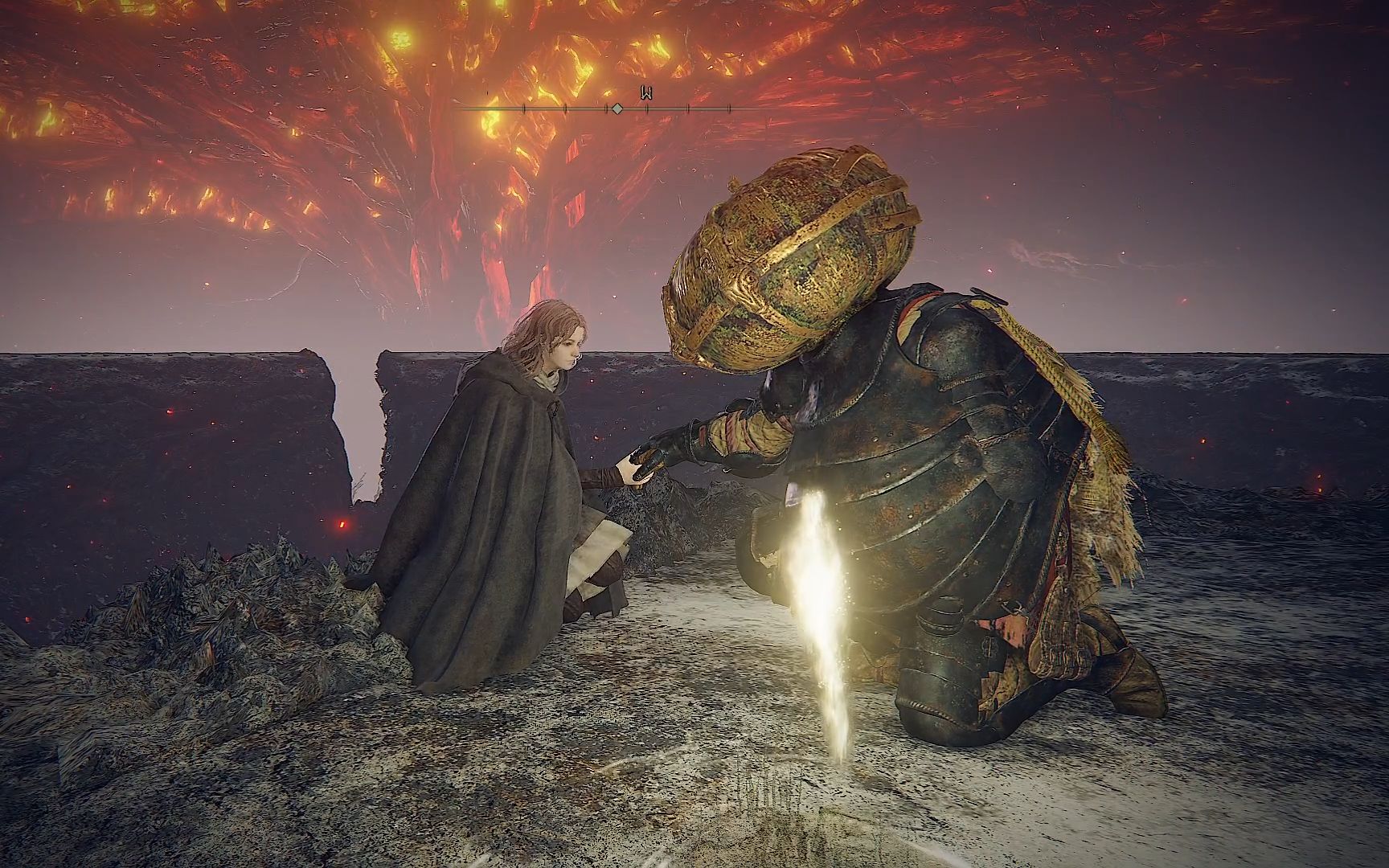 艾尔登法环怎么烧树 艾尔登法环怎么烧树