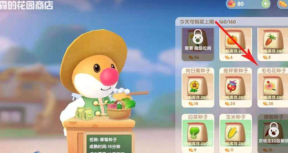 摩尔庄园怎么收获6朵毛毛花 摩尔庄园怎么收获6朵毛毛花