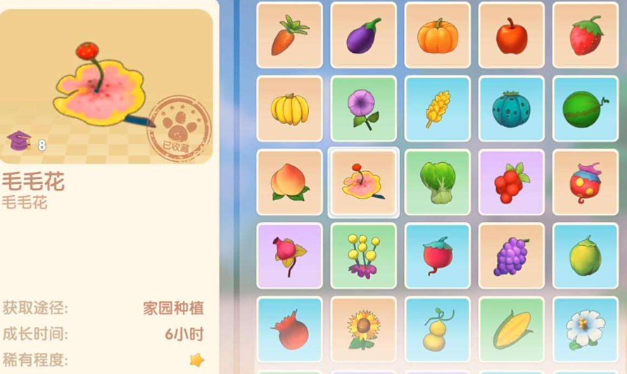 摩尔庄园怎么收获6朵毛毛花 摩尔庄园怎么收获6朵毛毛花