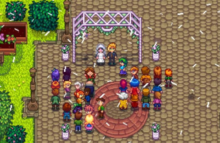 星露谷物语离婚后怎么再结婚