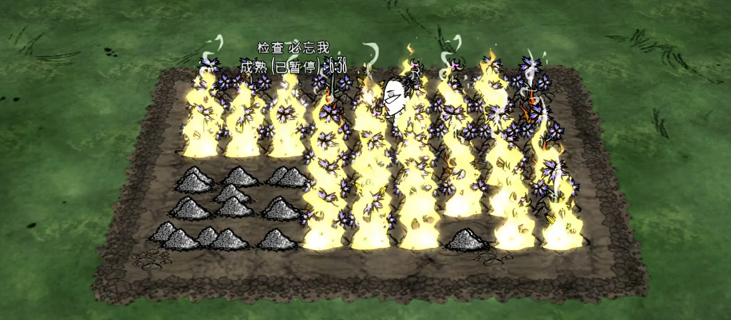 饥荒杂草有什么用