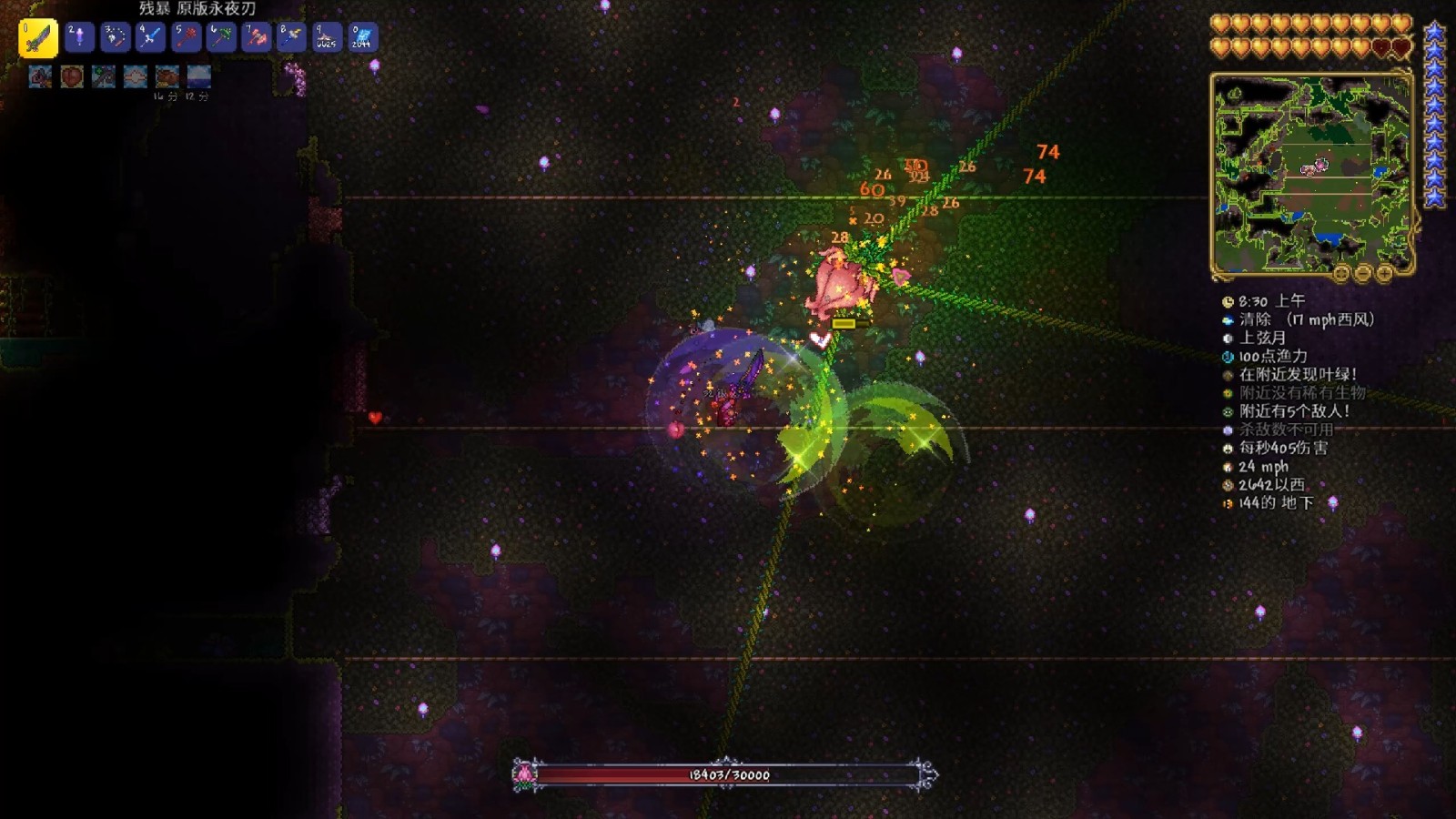 泰拉瑞亚如何打世纪之花