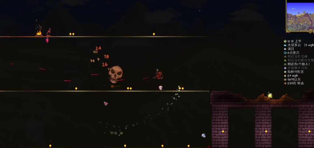 泰拉瑞亚骷髅王用什么打