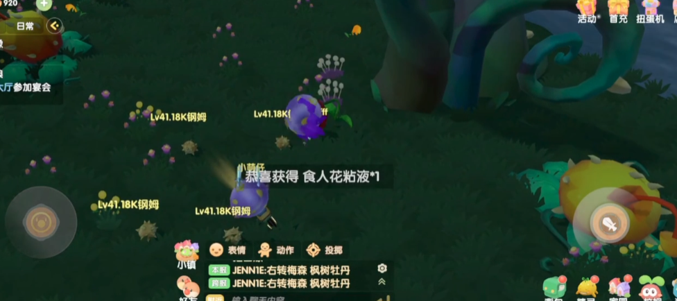 摩尔庄园荆棘丛林怎么采摘 摩尔庄园荆棘丛林怎么采摘