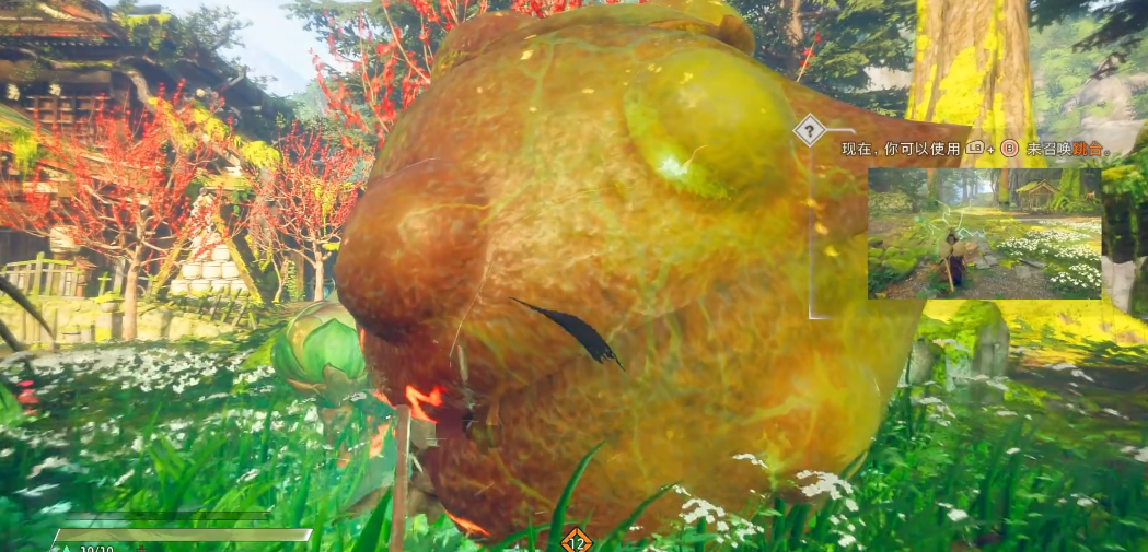 狂野之心花宿怎么打