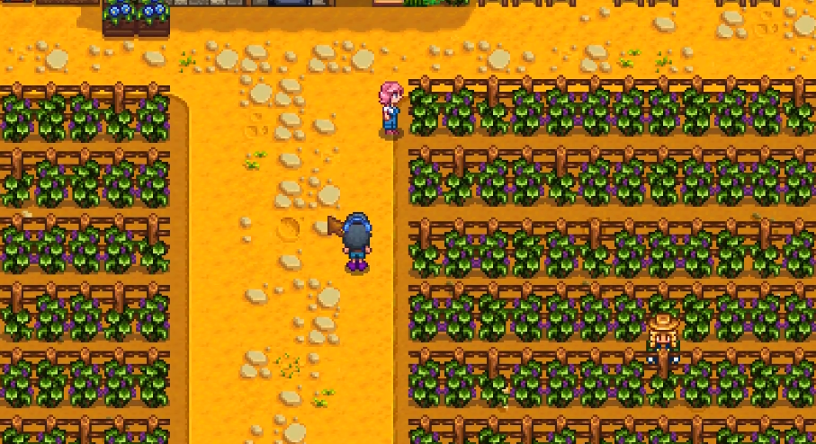 星露谷物语索菲亚家在哪