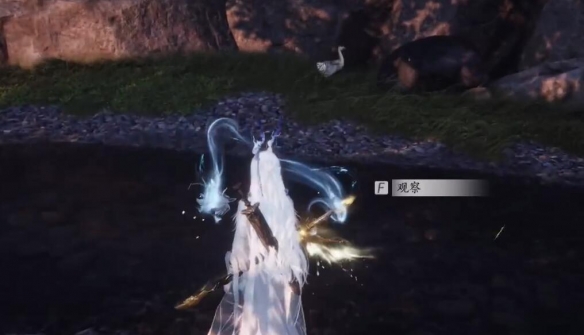 燕云十六声患病的大鹅该怎么救