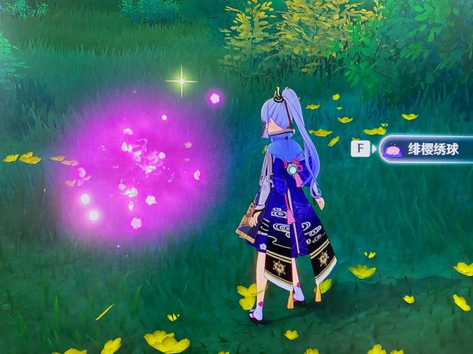 原神绯樱绣球怎么找