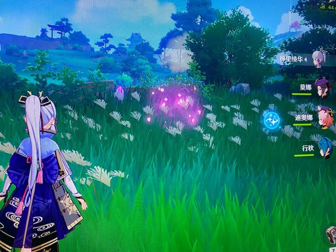 原神绯樱绣球怎么找