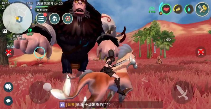 创造与魔法河豚吃什么