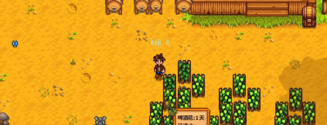 星露谷物语酿酒流怎么走