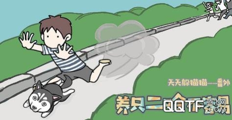 养只二哈不容易