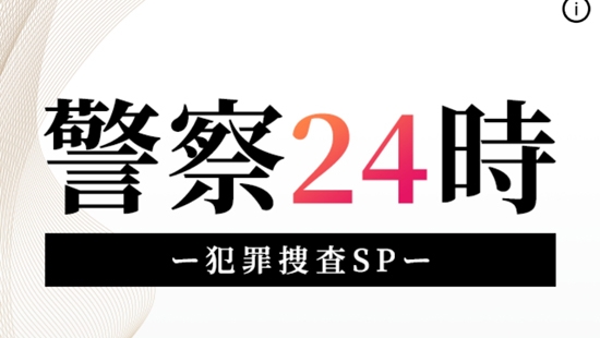 警察24時游戏