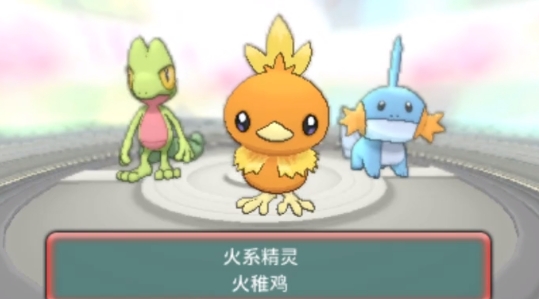 口袋妖怪究极红宝石游戏安装器