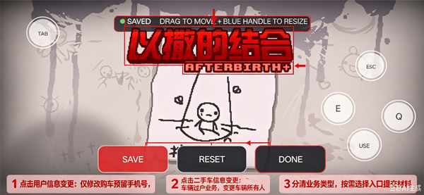 以撒的结合胎衣