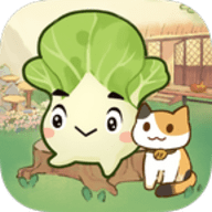 治愈小院红包版