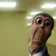 Nextbots Obunga in Backrooms后室密室追逐游戏