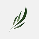 东南小说app纯净版