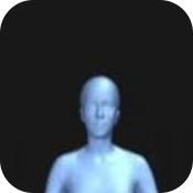 body