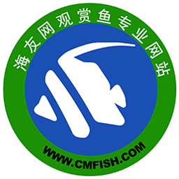 海友网安卓