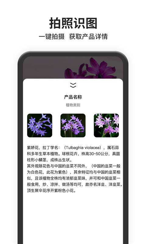 图片搜索app