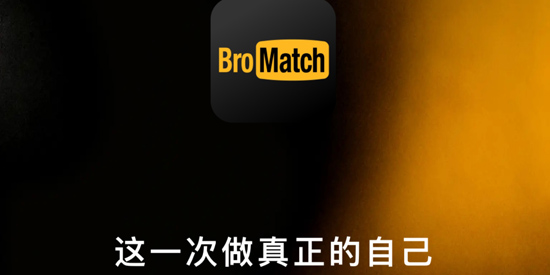 BroMatch安装