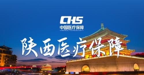 陕西医保缴费查询