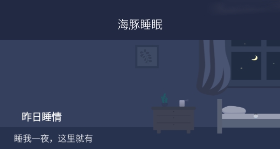 海豚睡眠