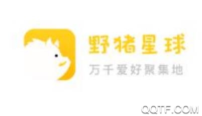 野猪星球客户端