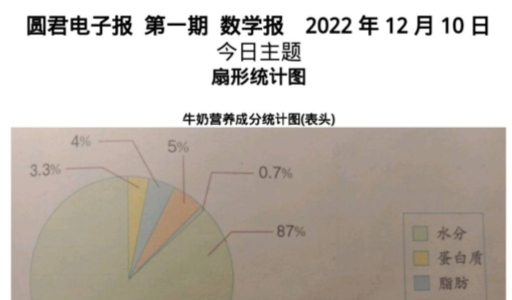 圆君电子报