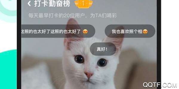 JUE倔手机客户端