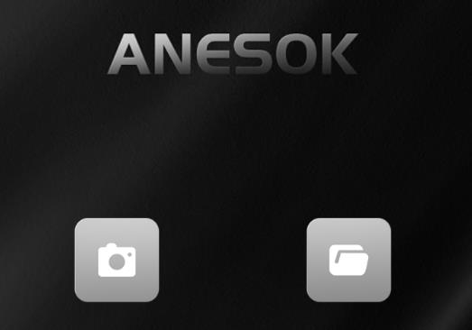 ANESOK