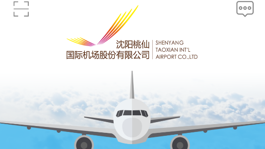 沈阳桃仙掌上机场