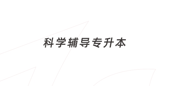新思网校