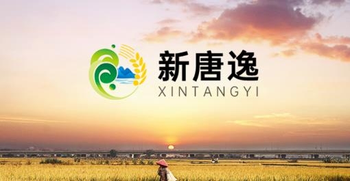 新唐逸