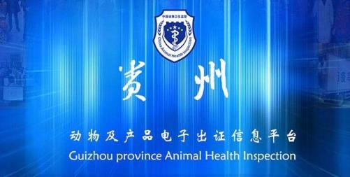 贵州动监网